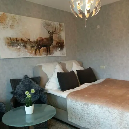 Appartementen Winterberg Winterbergvakanties * Medebach