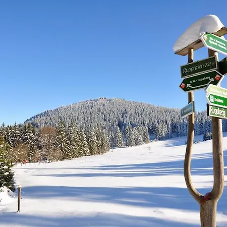 Appartementen Winterberg Winterbergvakanties * Medebach
